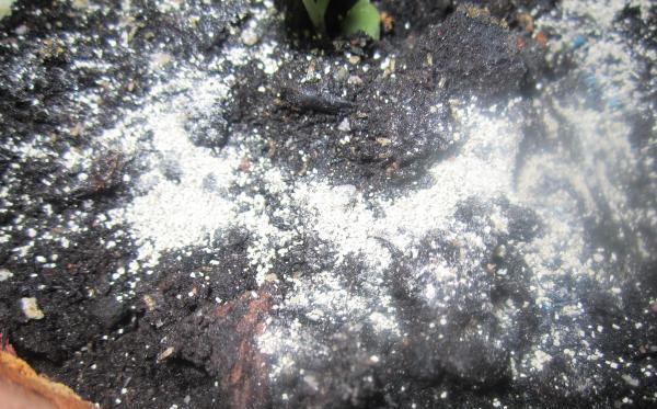 гранулы высыпать в почву