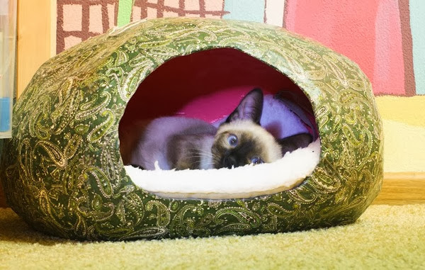 домик в форме кокона из папье-маше покрыт цветастым сатином, внутри на белой подстилке лежит сиамский котёнок