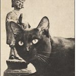 Кот у статуи Будды