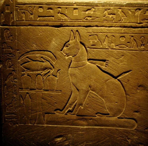 Древнеегипетская кошка
